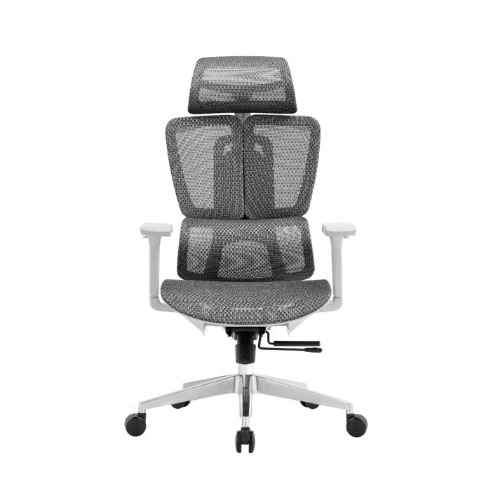 ergo office chair